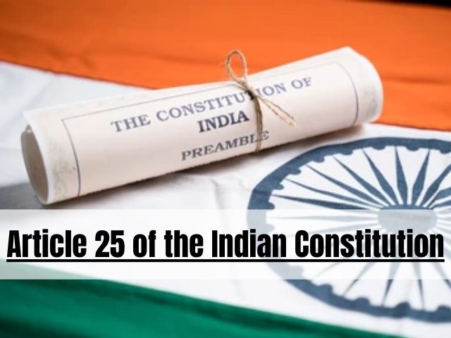 article 25